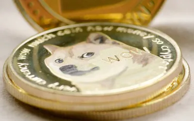 Krypto-Kriminalität und Memecoin-Manie: Experten warnen vor einem „Betrugs-Superzyklus“