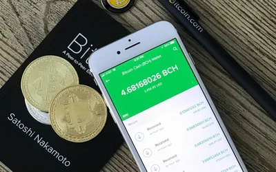 Wallet für Bitcoins: Das müssen Sie wissen